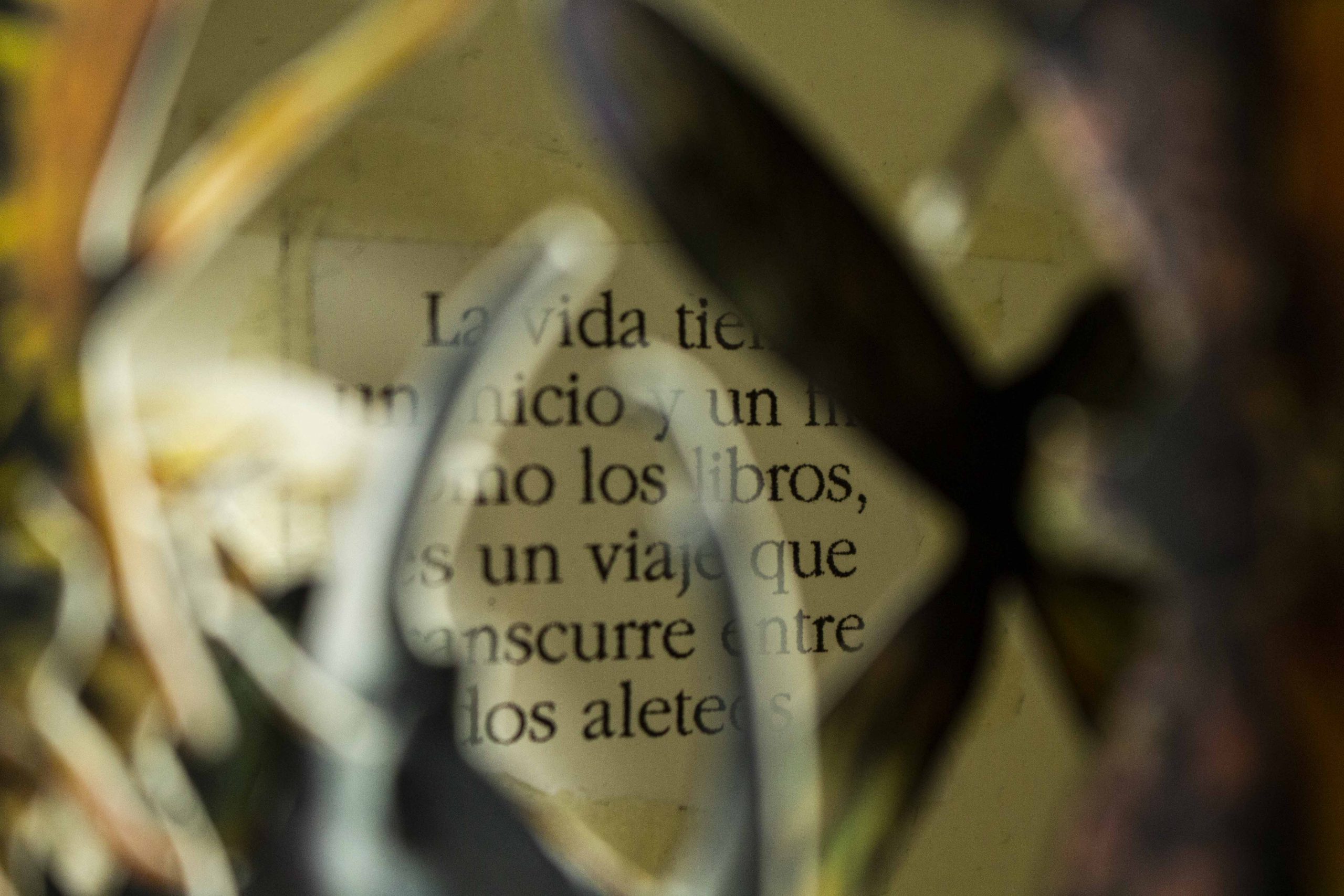 VIAJE_004