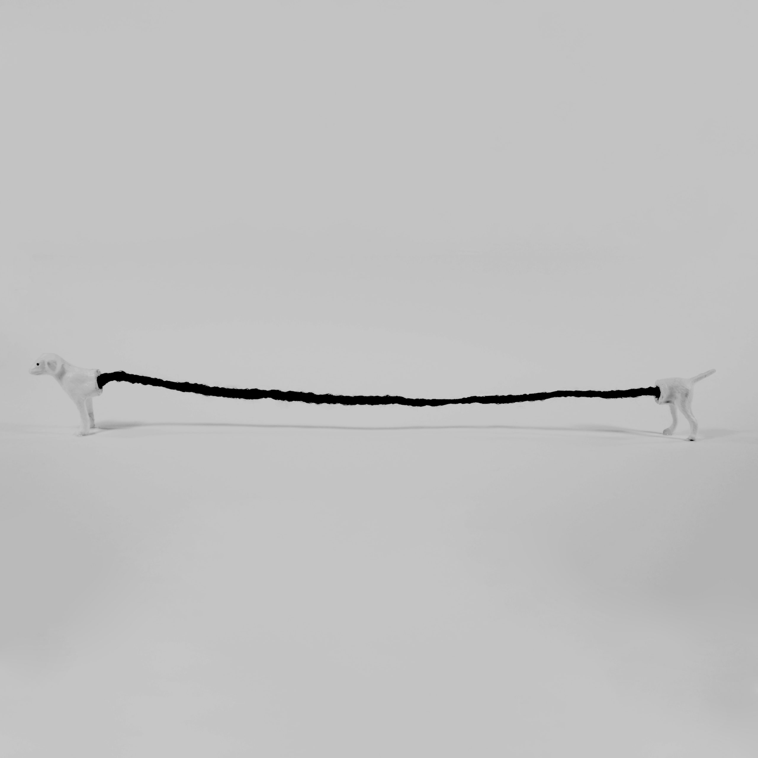 charlie_001